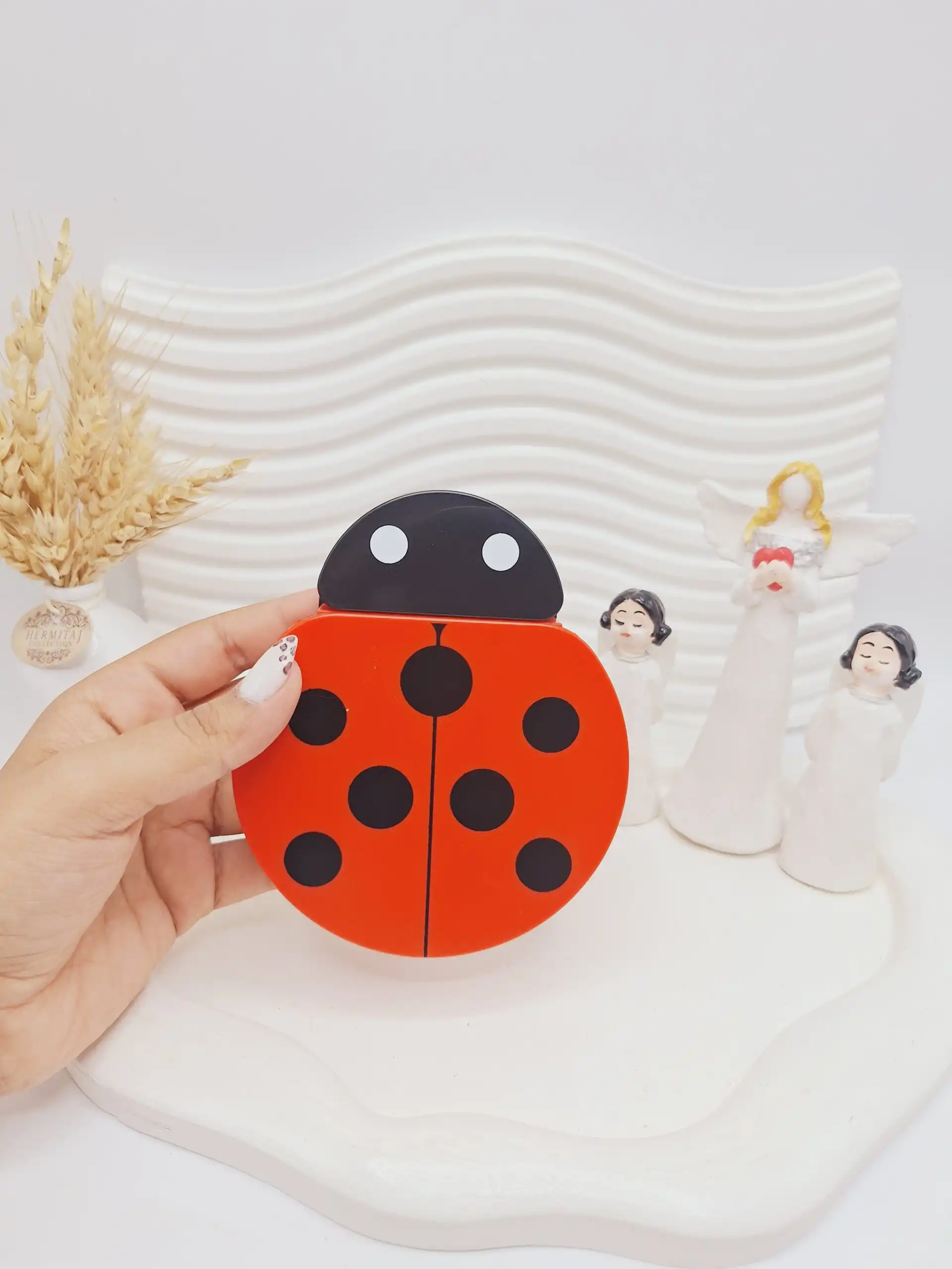 ست براش 5 تیکه کفشدوزکی